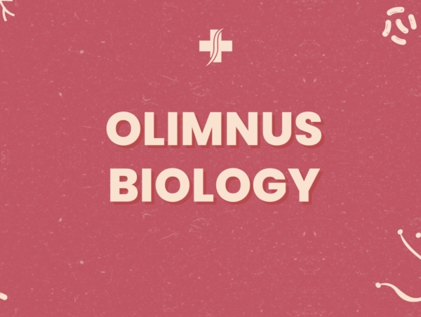 olimnus
